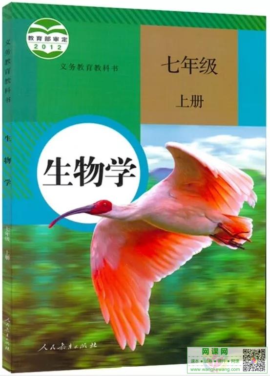 网站截图